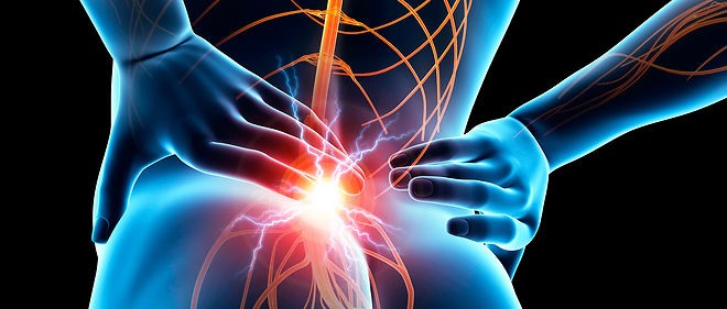 Comprendre l'anatomie du dos pour éviter les douleurs dorsales

